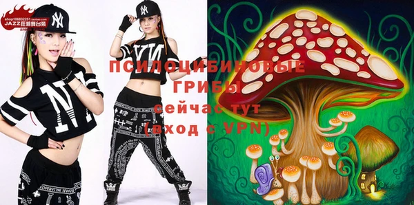 ECSTASY Алексеевка
